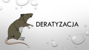 Czas na deratyzację