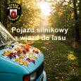 Pojazd silnikowy a wjazd do lasu